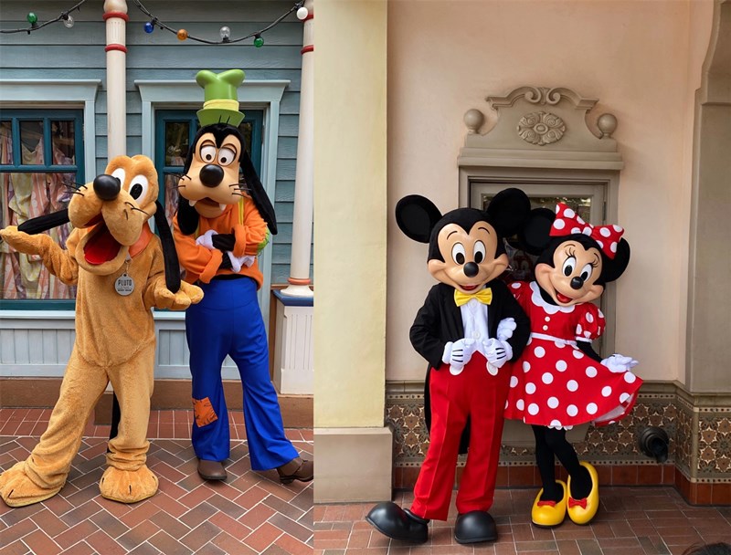 1604285316105350p684.jpg IMG_4585(20201101-221331)_副本.jpg