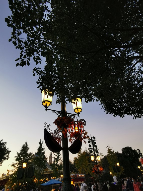 16042857819733352232.jpg IMG_4592(20201101-224158)_副本.jpg