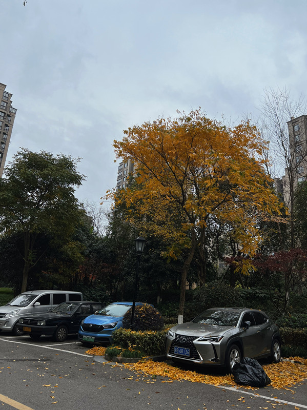IMG_0514(20211213-004017).JPG
