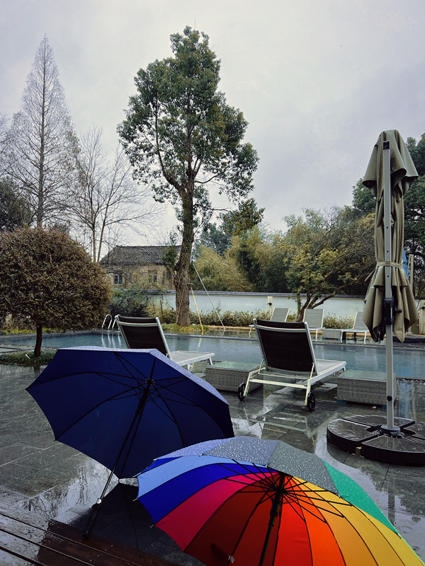 1644030765329924410C.jpg IMG_2689(20220204-152439).JPG