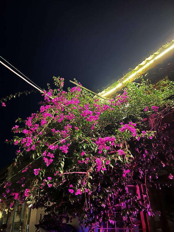 1661003181101843E4E9.jpg IMG_7692.JPG