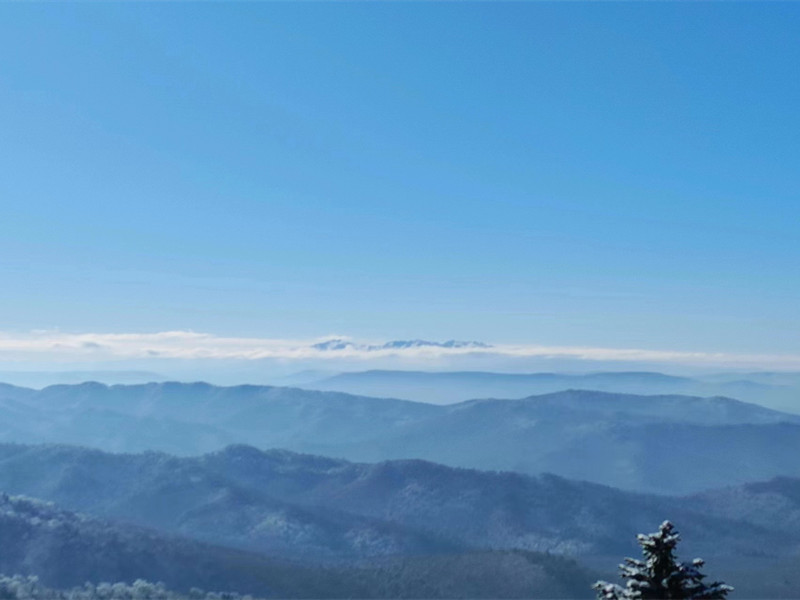 1675389931615569256D.jpg 微信图片_20230203094854.jpg