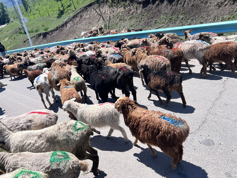 1689143782725171470D.jpg 微信图片_20230712143449.jpg