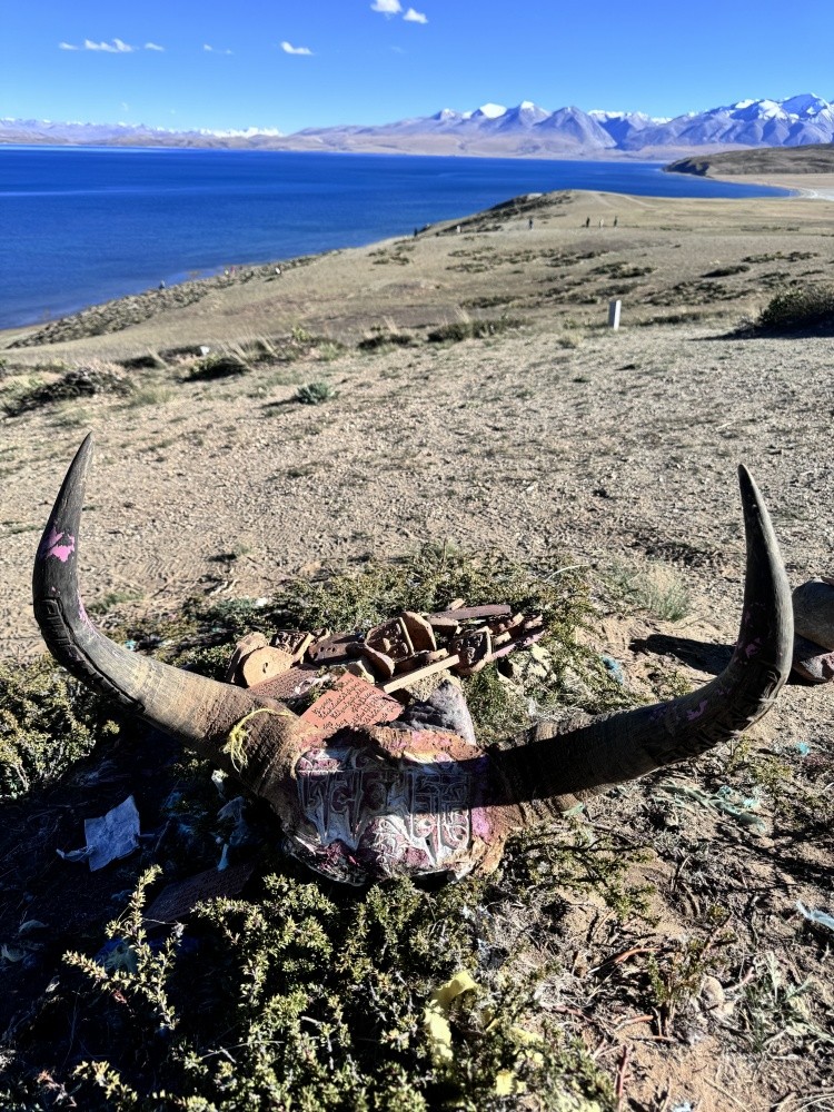 1753926590471843BA54.jpg 微信图片_20250714124800.jpg