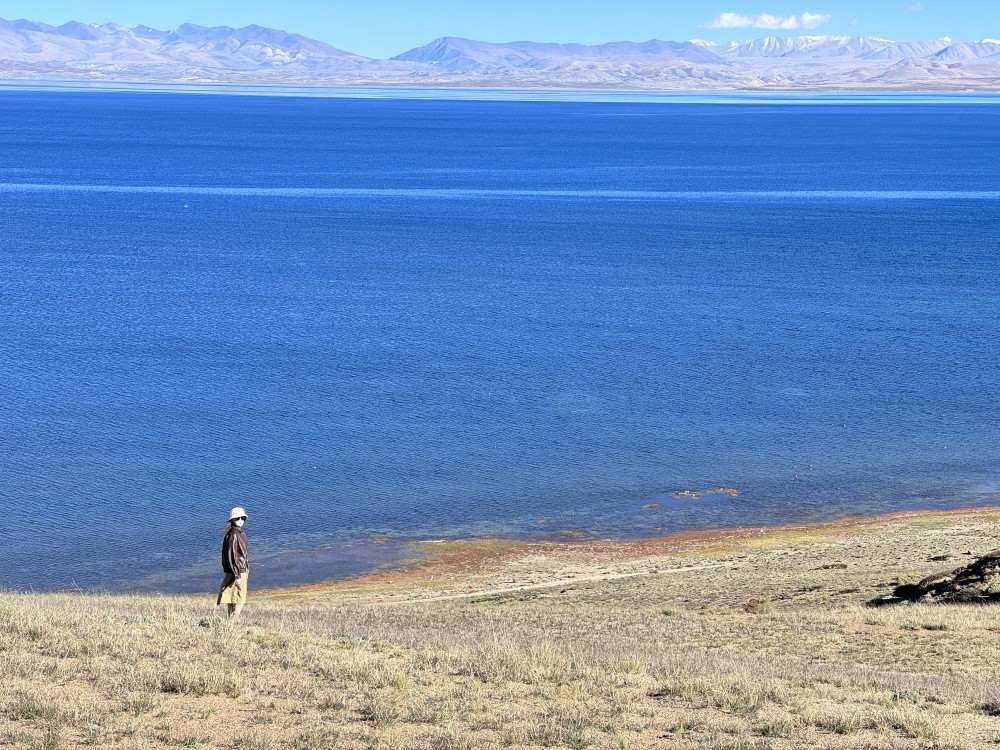 17539266499694639F47.jpg 微信图片_20250714124811.jpg