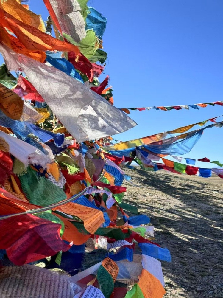 1753926921127993C6F2.jpg 微信图片_20250714124825.jpg